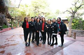 瑞馬壁掛爐：又經(jīng)一年風雨，再創(chuàng)一路輝煌